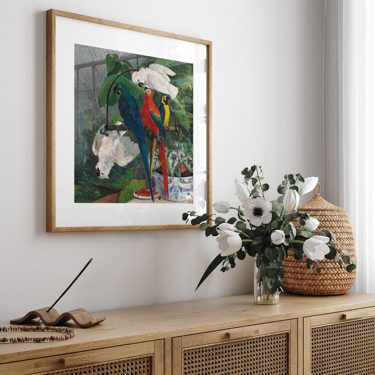 parrots