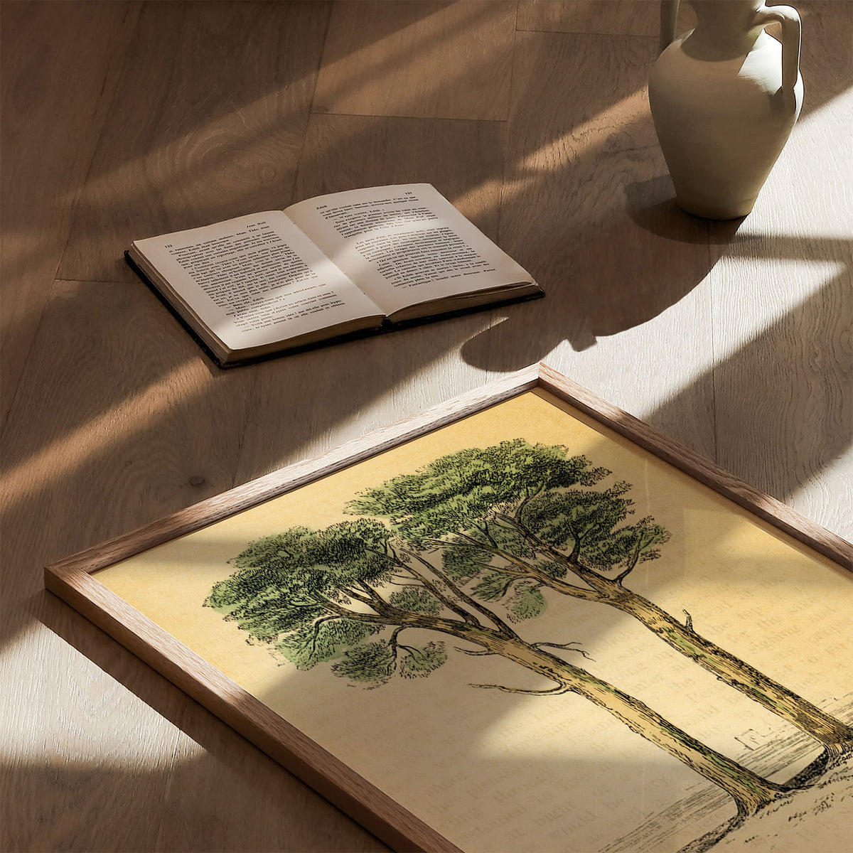 the pine tree