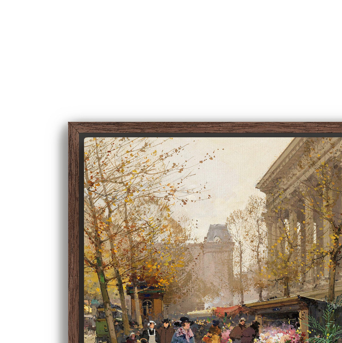 springtime street