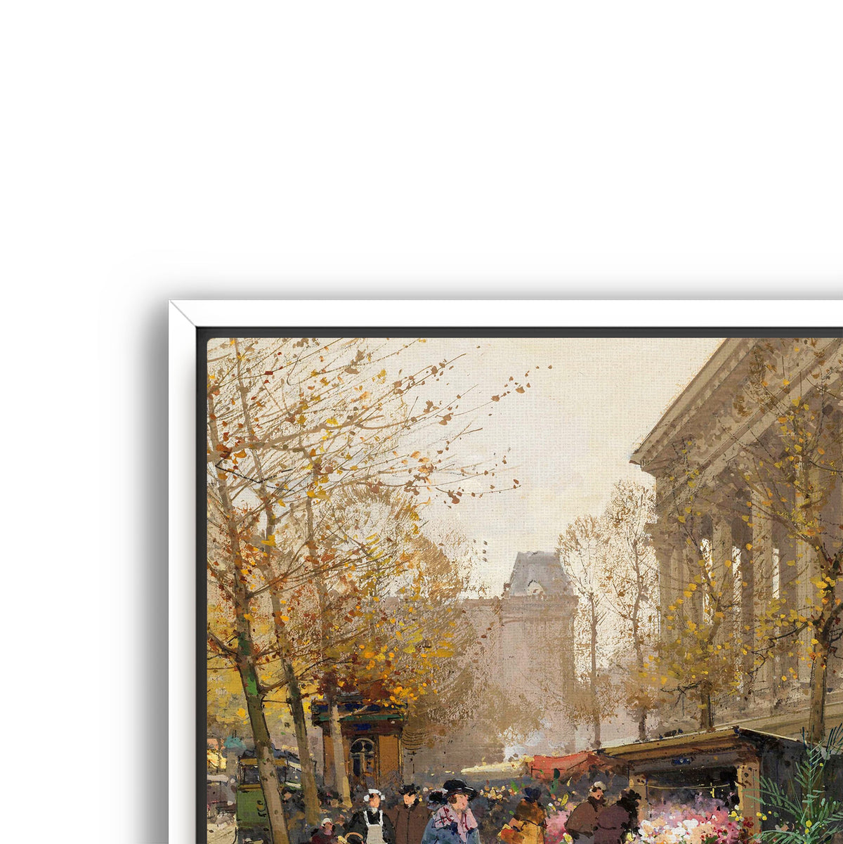 springtime street