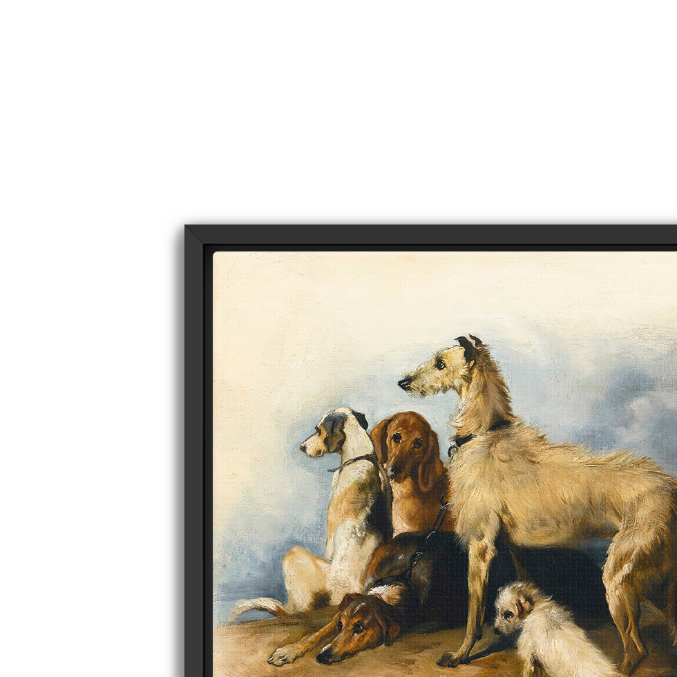 highland dogs- antique art print