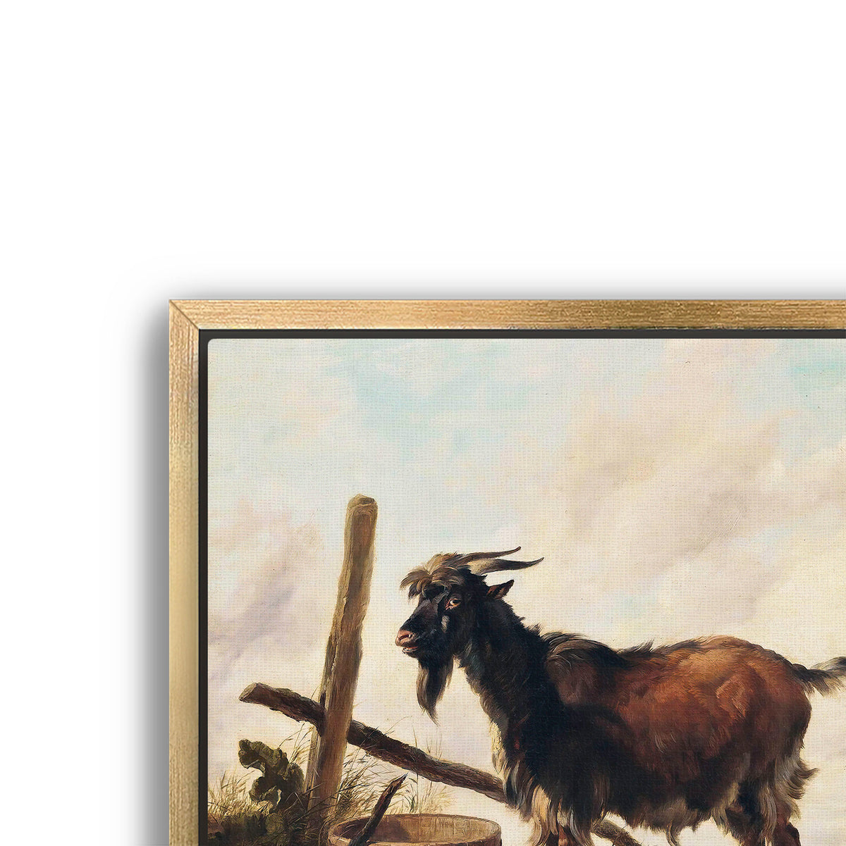 goat in the landscape