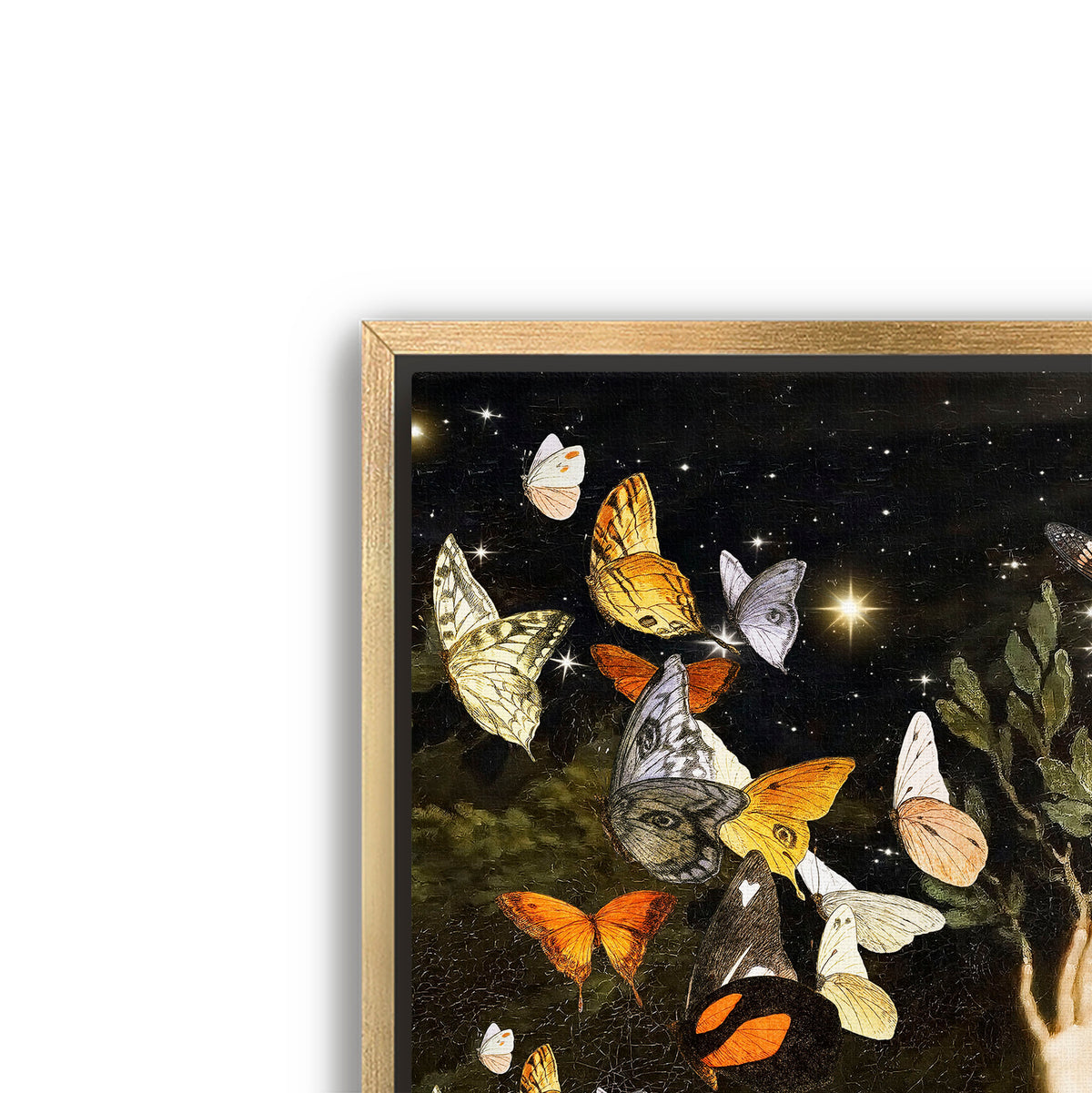 flight of the butterflies