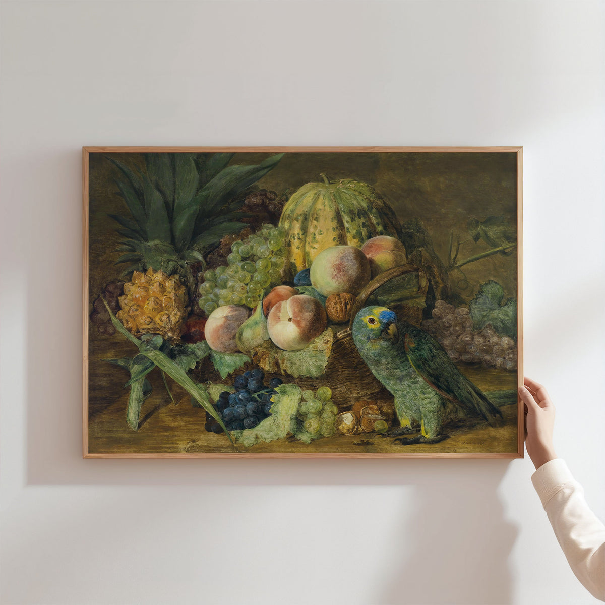 fruit with parrot