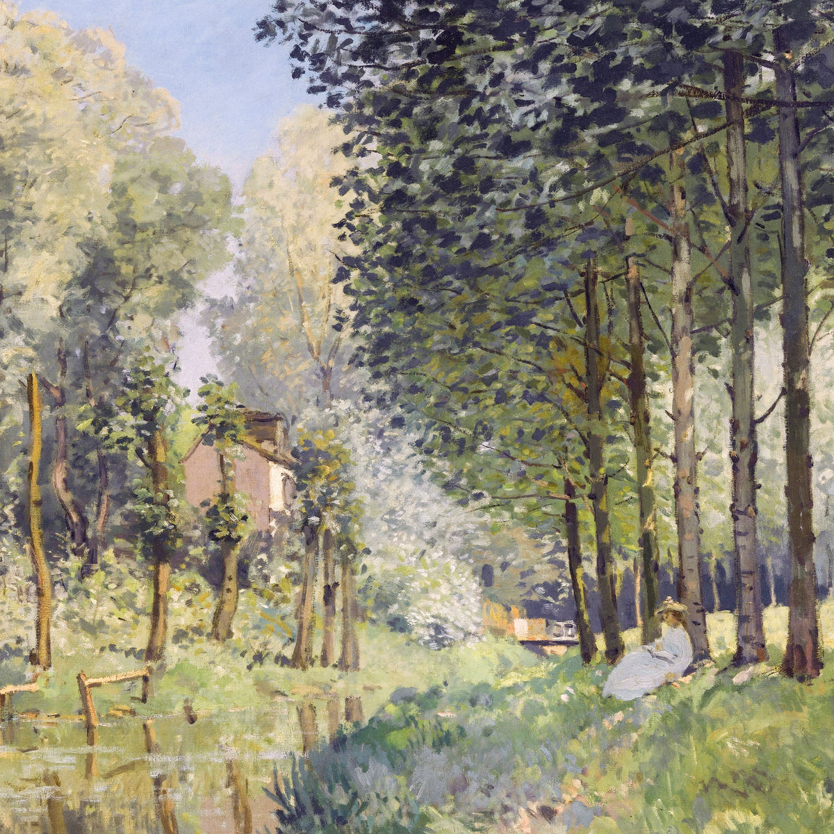 under the beech trees