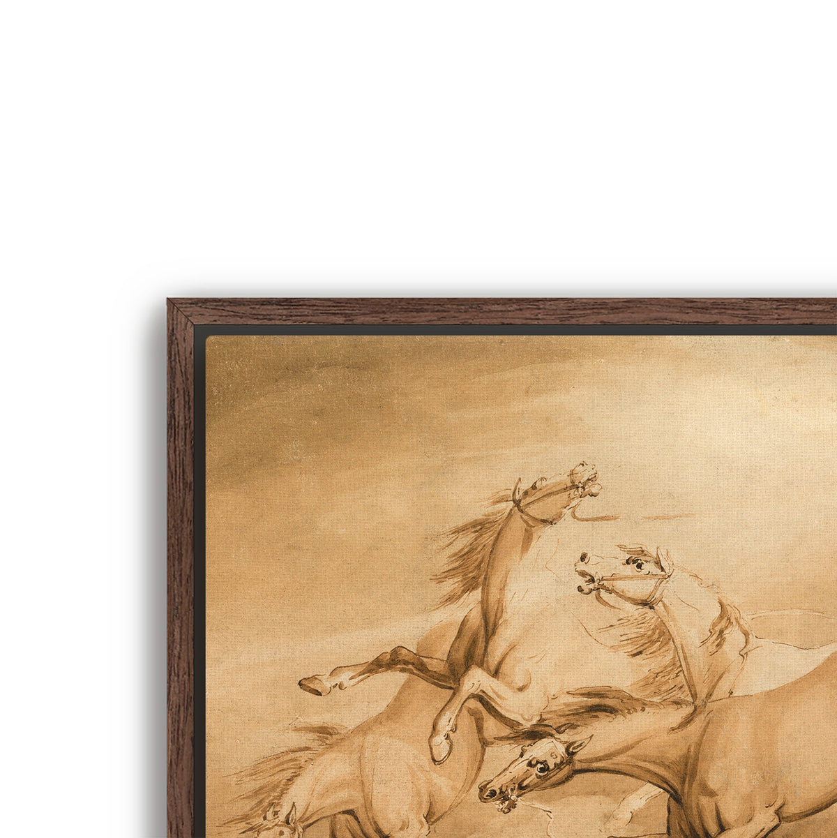 four galloping horses