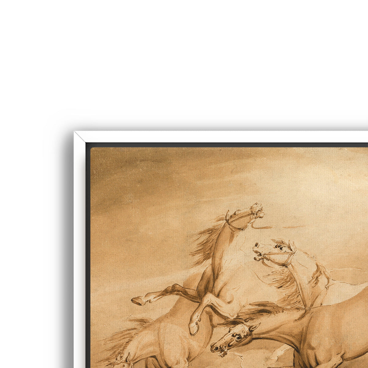 four galloping horses