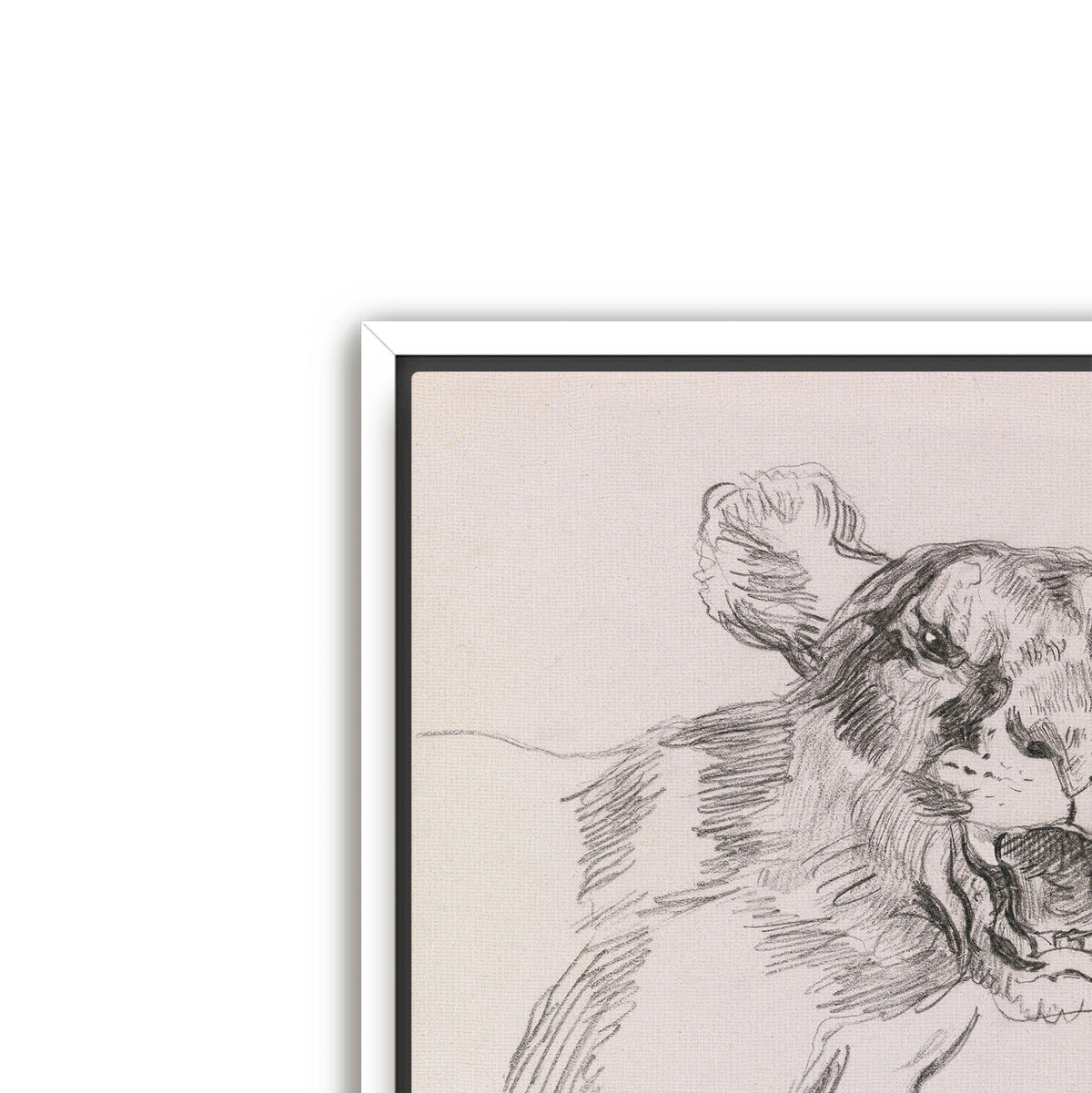 growl